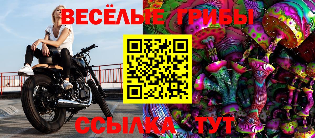 Псилоцибиновые грибы MAGIC MUSHROOMS Приморско-Ахтарск