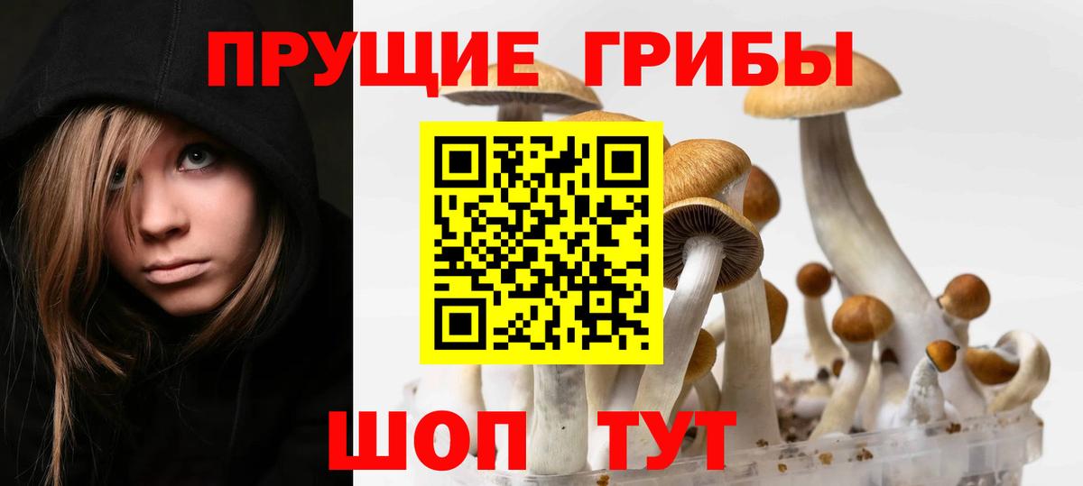Псилоцибиновые грибы прущие грибы  Вход с VPN  где найти   Приморско-Ахтарск 